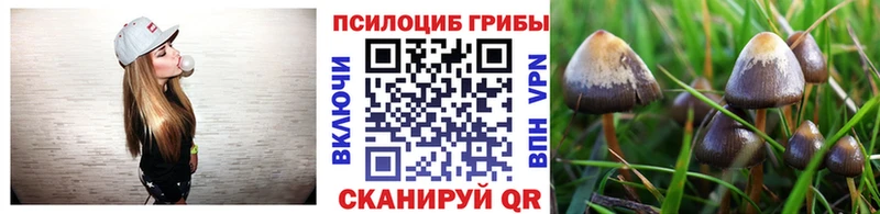 Галлюциногенные грибы MAGIC MUSHROOMS  сколько стоит  Озёры 